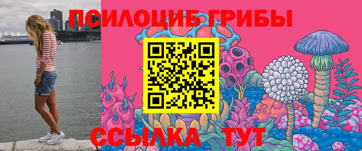 Псилоцибиновые грибы GOLDEN TEACHER  Псилоцибиновые грибы GOLDEN TEACHER  Назарово  Вход с VPN 