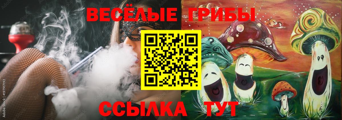 Псилоцибиновые грибы Psilocybe Назарово